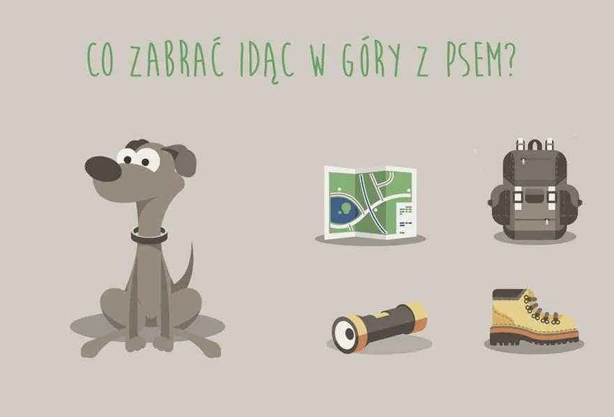 Co zabrać w góry? Lista lekkiego ekwipunku na trasę